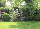 Haus Gerti