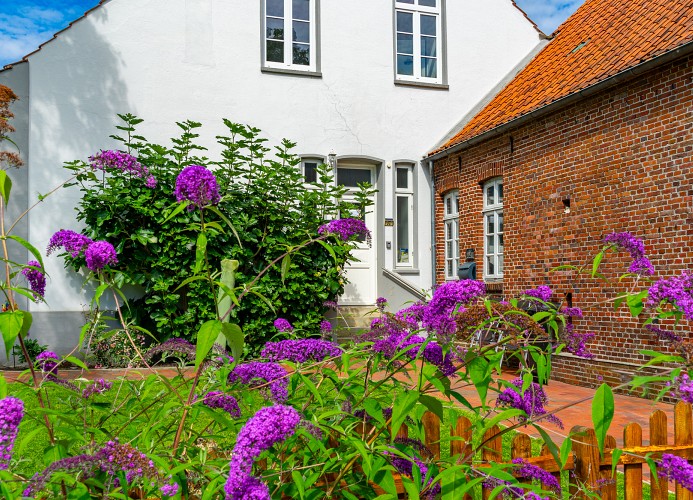 Alte Pastorei Wiefels