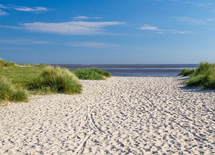Wangermeer Perle II
